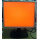 Монитор 19" TFT HP 1955 (DVI в Альметьевске, USB-хаб) "квадратный" (Альметьевск)