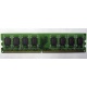 Модуль оперативной памяти 4096Mb DDR2 Patriot PSD24G8002 pc-6400 (800MHz)  (Альметьевск)