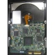 Электроника жёсткого диска 146Gb HP 481653-002 DF146BAFDU (Альметьевск)