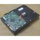 Жесткий диск HP 250Gb 7200 rpm 432337-001/ 399699-001 / 397377-004 (Альметьевск)