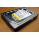 Жесткий диск 160Gb WD WD1602ABKS SATA (Альметьевск)