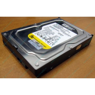 Жесткий диск 160Gb WD WD1602ABKS SATA (Альметьевск)