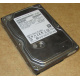 HDD 500Gb Hitachi HDS721050DLE630 донор на запчасти (Альметьевск)