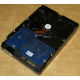 Электроника HDD 500Gb Hitachi HDS721050DLE630 (Альметьевск)