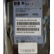 Жёсткий диск 146.8Gb HP 365695-008 404708-001 BD14689BB9 256716-B22 MAW3147NC 10000 rpm Ultra320 Wide SCSI купить в Альметьевске, цена (Альметьевск).
