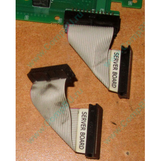6017B0045701 Шлейф 24 pin для Intel C74974-401 T0043401-B01 корпуса SR2400 (Альметьевск)