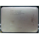 AMD Opteron 6128 OS6128WKT8EGO (Альметьевск)