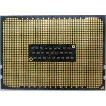 AMD Opteron 6128 OS6128WKT8EGO (Альметьевск)