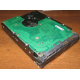 Жесткий диск 300Gb 15k Seagate Cheetach ST3300656SS 15K.6 Dell 9CH066-050 6G SAS (Альметьевск)